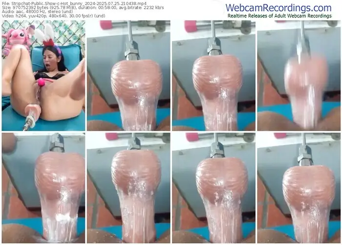 stripchat-hot_bunny_2024-07-25-2025-21-04-38