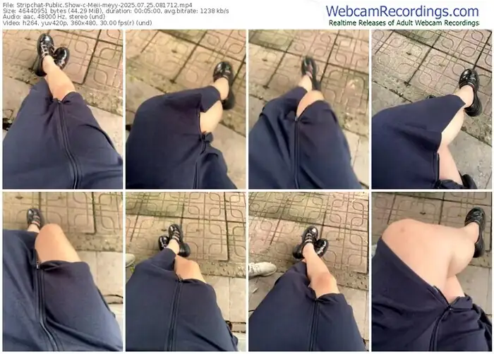 stripchat-meii-meyy-07-25-2025-08-17-12