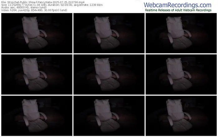 stripchat-fancynata-07-25-2025-21-07-36