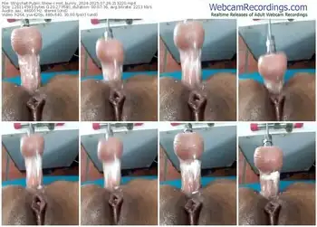 stripchat-hot_bunny_2024-07-26-2025-21-32-20