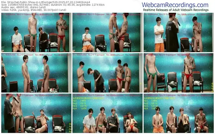 stripchat-little-tiger520-07-26-2025-12-44-09