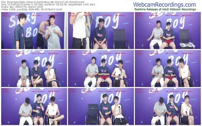 stripchat-perfectboy-88-07-26-2025-05-43-20