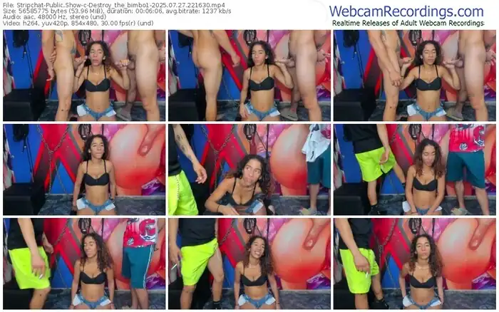 stripchat-destroy_the_bimbo1-07-27-2025-22-16-30