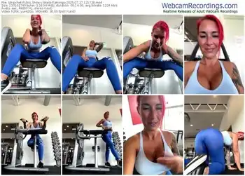 stripchat-black-flamingo-07-27-2025-12-17-28