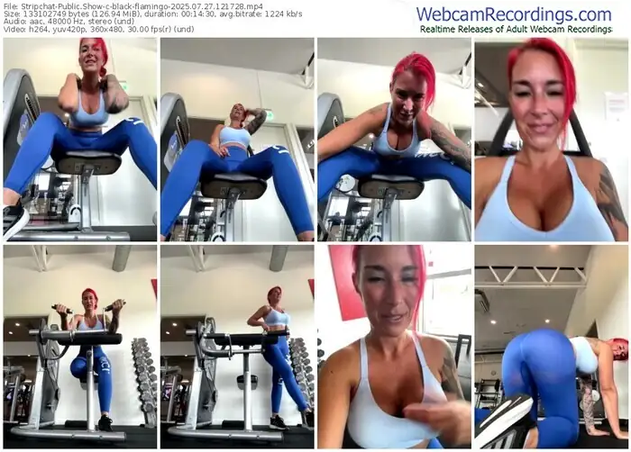 stripchat-black-flamingo-07-27-2025-12-17-28