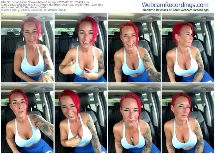 stripchat-black-flamingo-07-27-2025-12-34-24