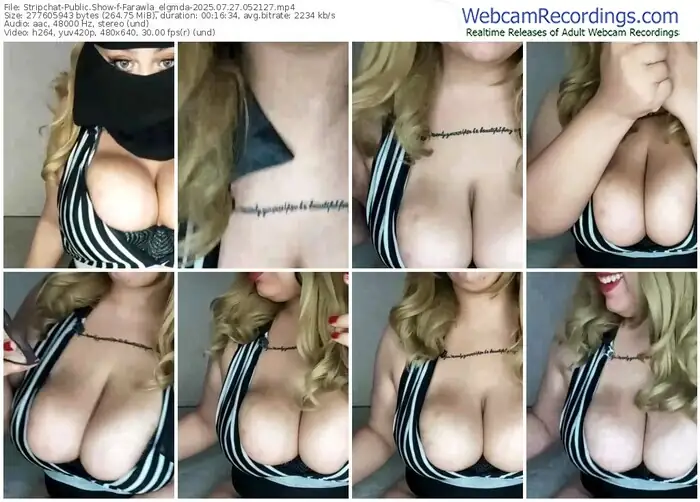 stripchat-farawla_elgmda-07-27-2025-05-21-27