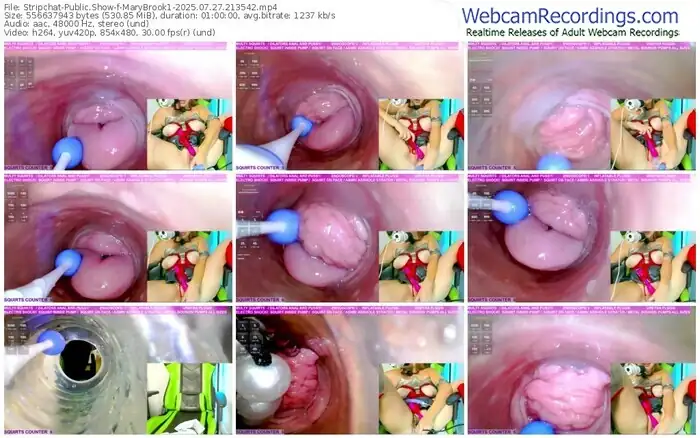 stripchat-marybrook1-07-27-2025-21-35-42