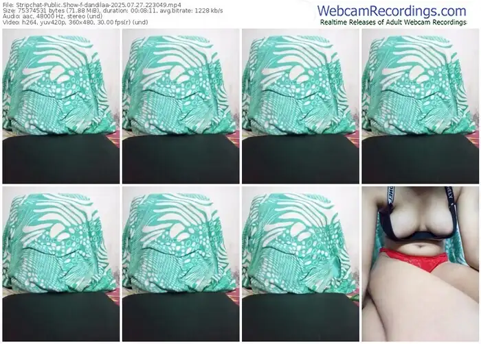 stripchat-dandilaa-07-27-2025-22-30-49