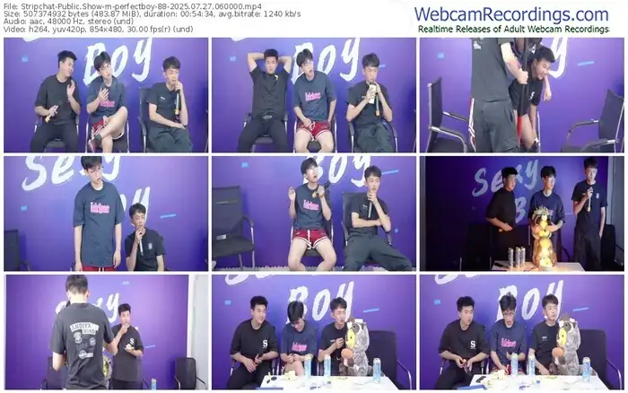 stripchat-perfectboy-88-07-27-2025-06-00-00