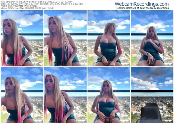 stripchat-tinker_exotic_1-07-27-2025-12-34-50