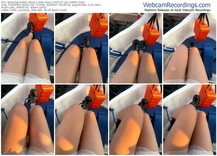 stripchat-meii-meyy-07-28-2025-10-48-57