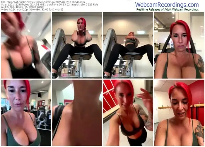 stripchat-black-flamingo-07-28-2025-19-00-49