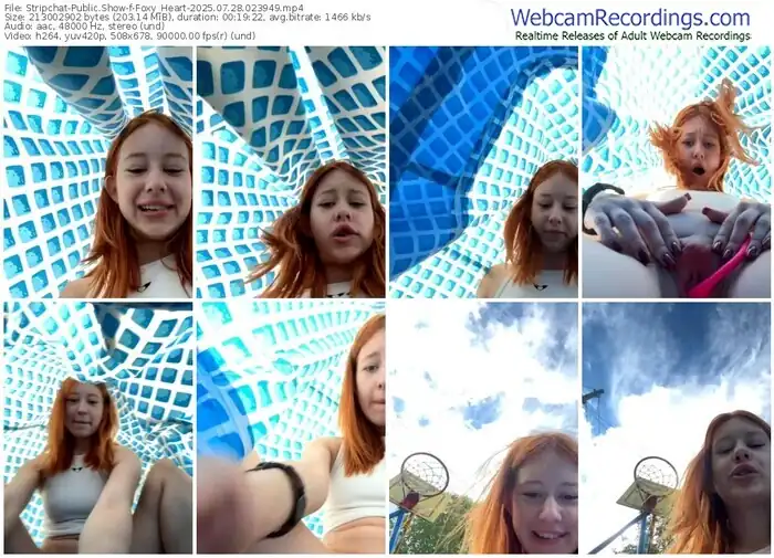 stripchat-foxy_heart-07-28-2025-02-39-49