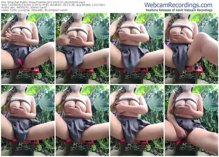 stripchat-hana-zk3-07-28-2025-00-00-00