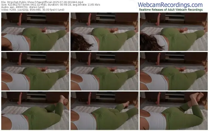 stripchat-pawgofficial-07-28-2025-00-18-44