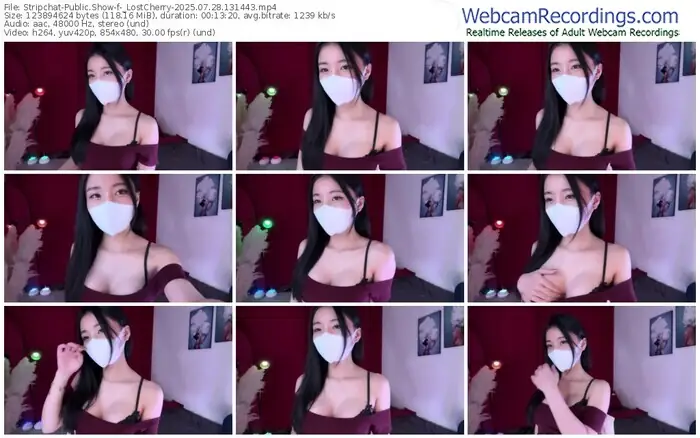 stripchat-_lostcherry-07-28-2025-13-14-43