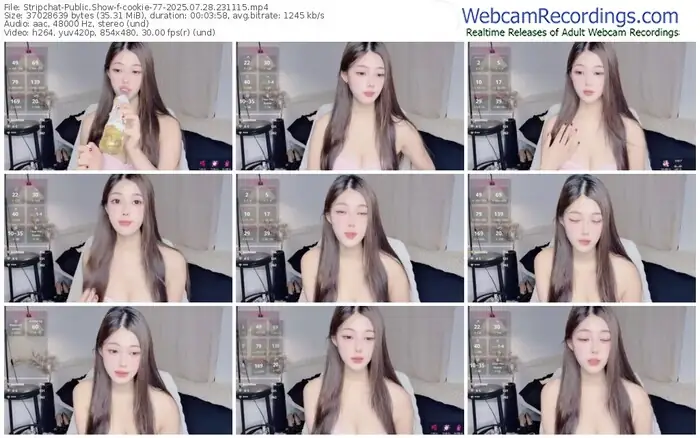 stripchat-cookie-77-07-28-2025-23-11-15