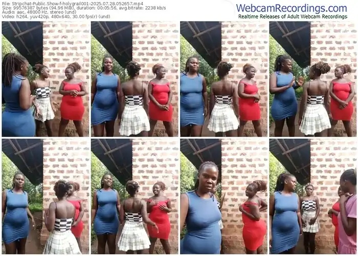 stripchat-holygrail001-07-28-2025-05-26-57