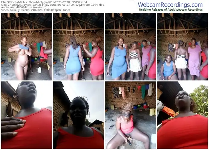 stripchat-holygrail001-07-28-2025-13-08-39