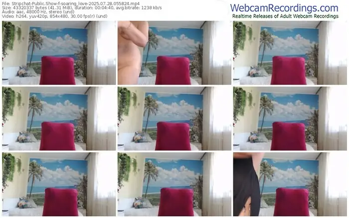 stripchat-soaring_love-07-28-2025-05-58-24