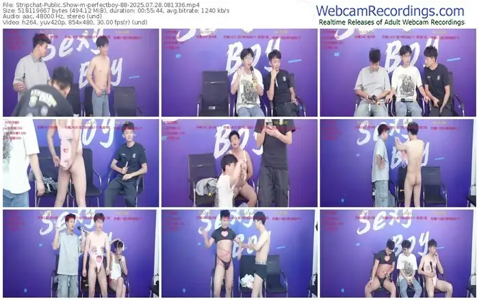 stripchat-perfectboy-88-07-28-2025-08-13-36