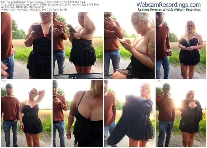 stripchat-kinky_celin93-07-29-2025-17-13-40