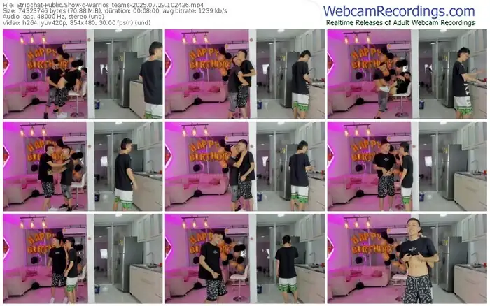stripchat-warrios_teams-07-29-2025-10-24-26