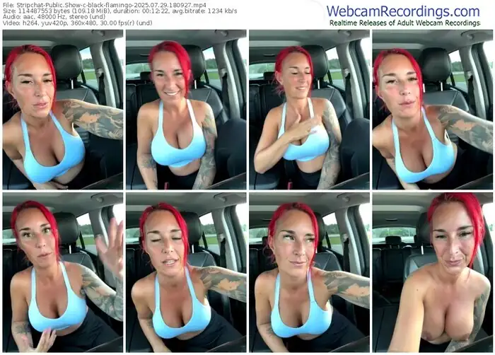 stripchat-black-flamingo-07-29-2025-18-09-27