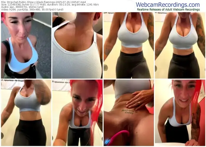 stripchat-black-flamingo-07-29-2025-19-35-47