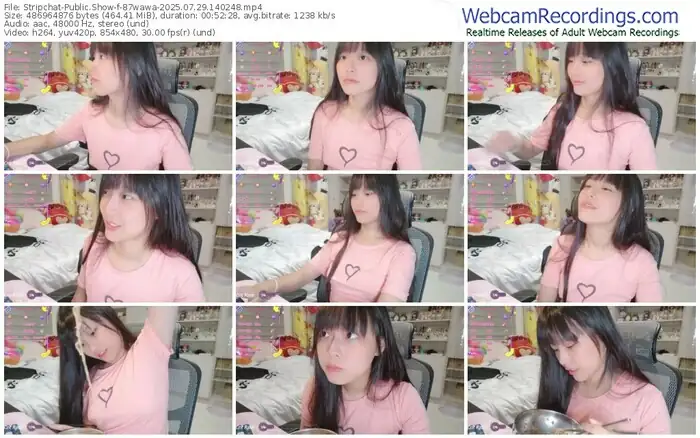 stripchat-87wawa-07-29-2025-14-02-48
