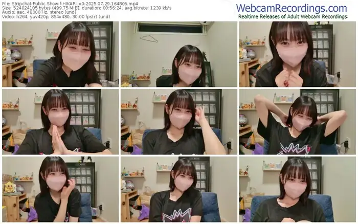 stripchat-hikari_x0-07-29-2025-16-48-05