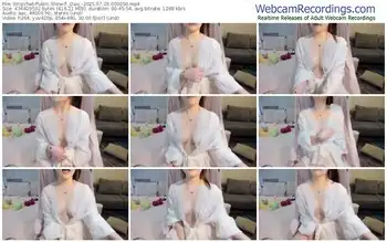 stripchat-_dau_-07-29-2025-00-30-50