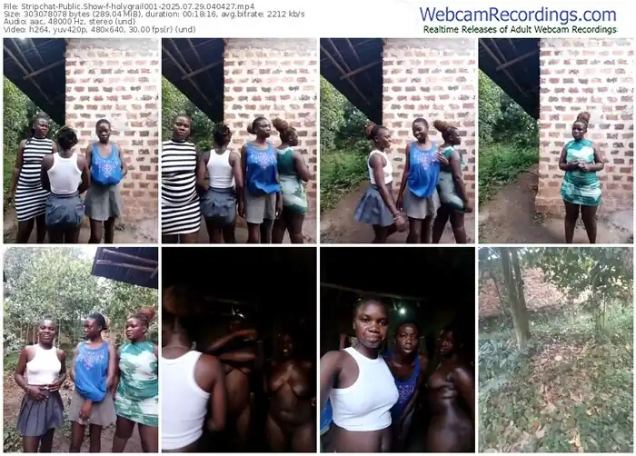 stripchat-holygrail001-07-29-2025-04-04-27