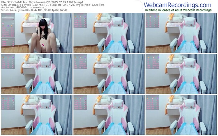 stripchat-wawa-dd-07-29-2025-19-02-24