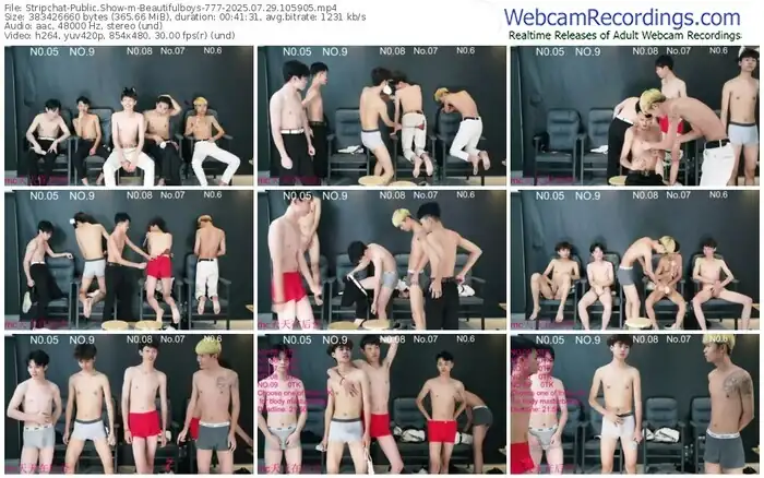 stripchat-beautifulboys-777-07-29-2025-10-59-05