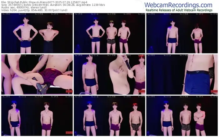stripchat-mass-6677-07-29-2025-12-58-27