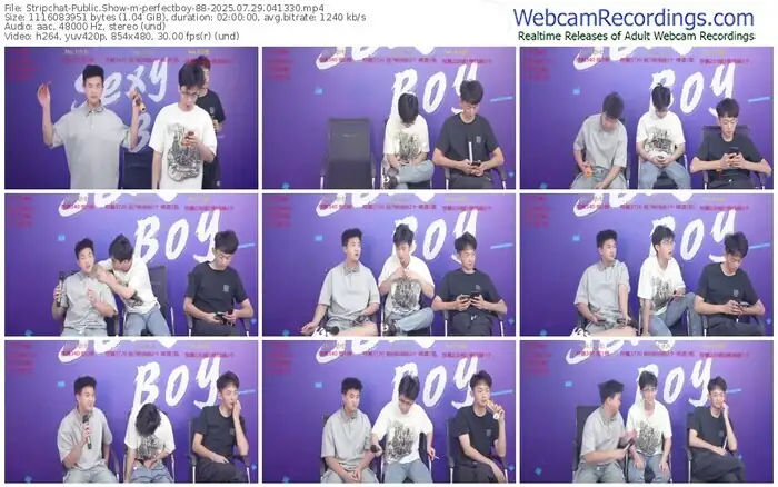stripchat-perfectboy-88-07-29-2025-04-13-30
