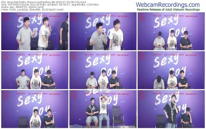 stripchat-perfectboy-88-07-29-2025-08-17-02