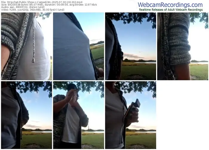 stripchat-carpedi3m-07-30-2025-19-12-02