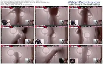 stripchat-hanabi-hentai-07-30-2025-16-28-41