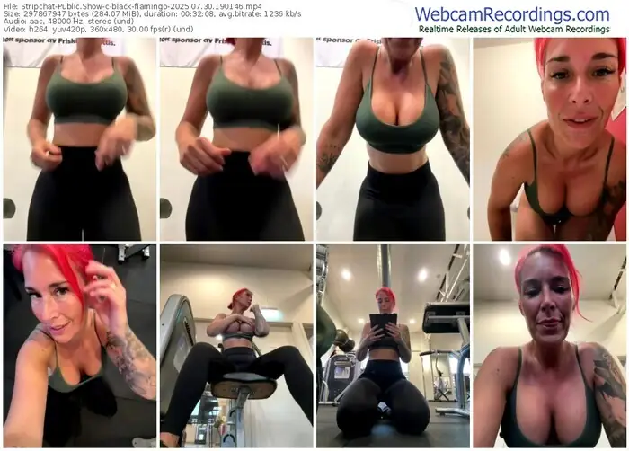 stripchat-black-flamingo-07-30-2025-19-01-46