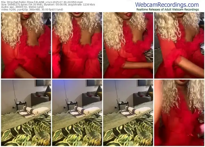 stripchat-elaine_xxxx-07-30-2025-22-29-50