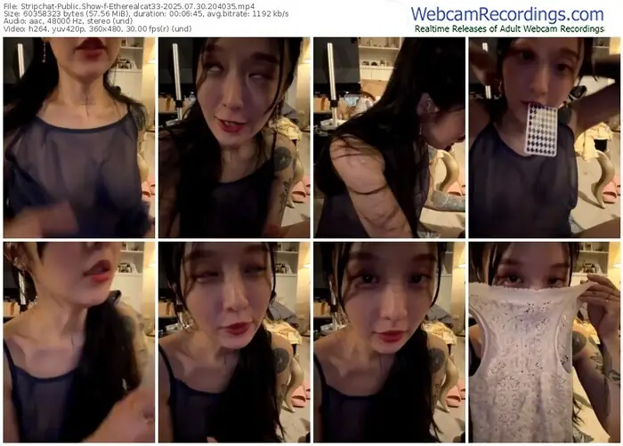 stripchat-etherealcat33-07-30-2025-20-40-35