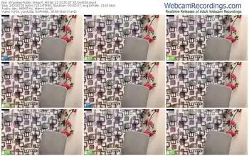 stripchat-_rose_22-07-30-2025-09-45-36