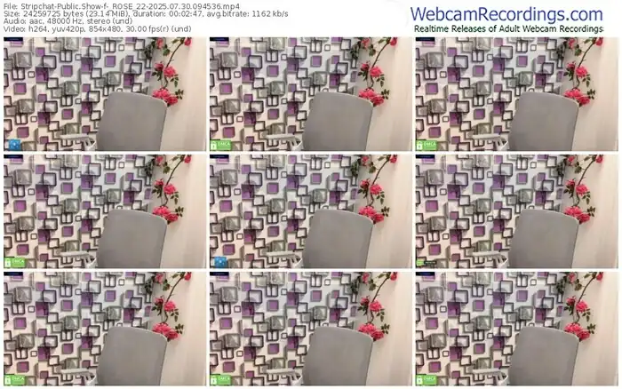 stripchat-_rose_22-07-30-2025-09-45-36