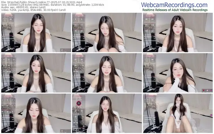stripchat-cookie-77-07-30-2025-21-31-01