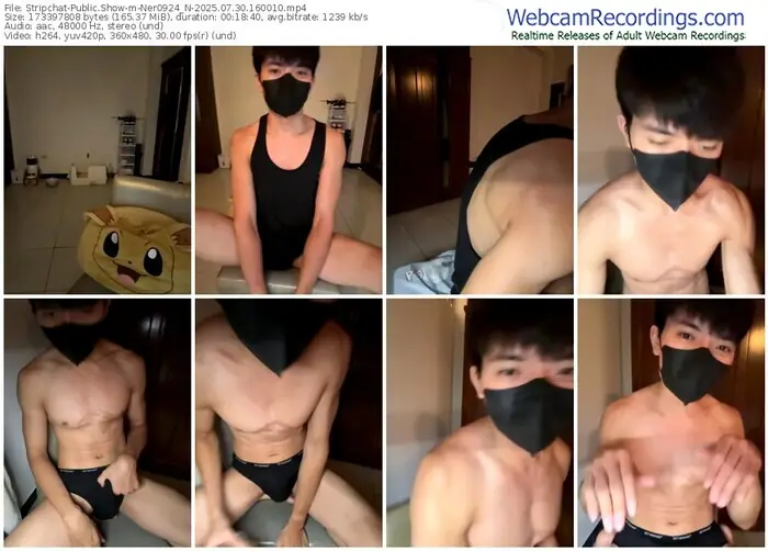 stripchat-ner0924_n-07-30-2025-16-00-10