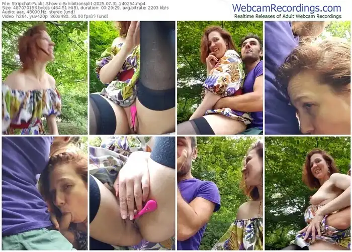 stripchat-exhibitionsplit-07-31-2025-14-02-54