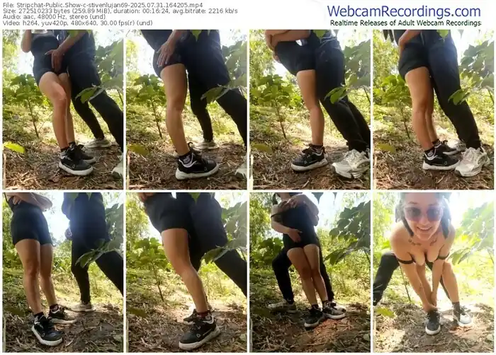 stripchat-stivenlujan69-07-31-2025-16-42-05